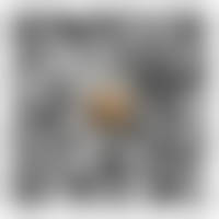 扫一扫，加微信