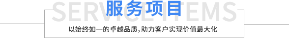 服务项目